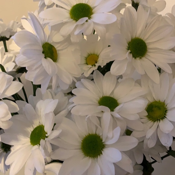 Meet your Posher, Debbie - Picture 1 of 1